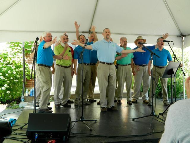 Strawberry Fest 2014